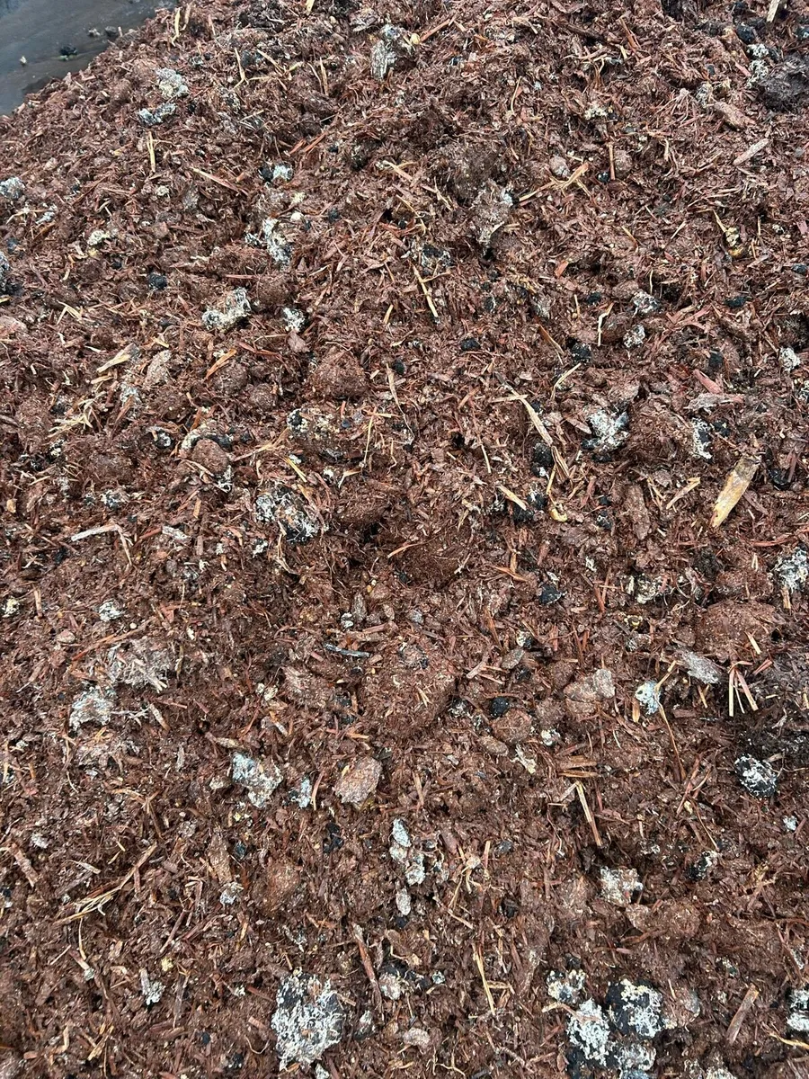 Compost - Image 2