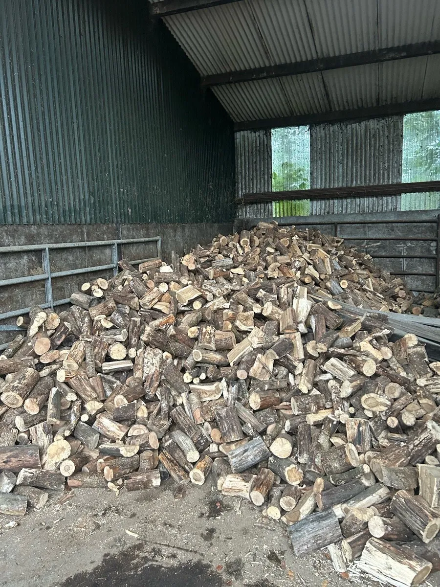 Firewood - Image 1