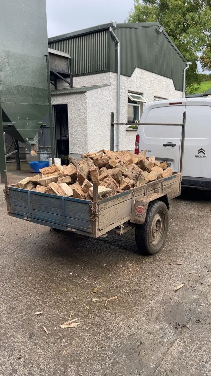 Firewood - Image 2