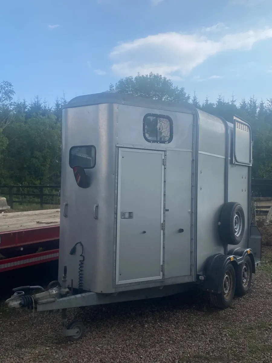 Ifor Williams 505 horse box - Image 3