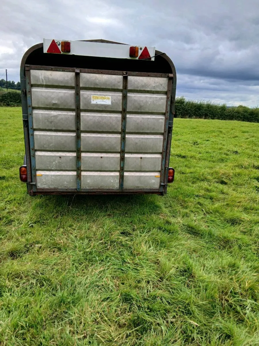 12FT X 6FT Cattle Trailer For Sale - Image 4