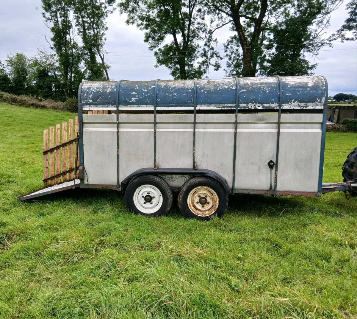12FT X 6FT Cattle Trailer For Sale - Image 2