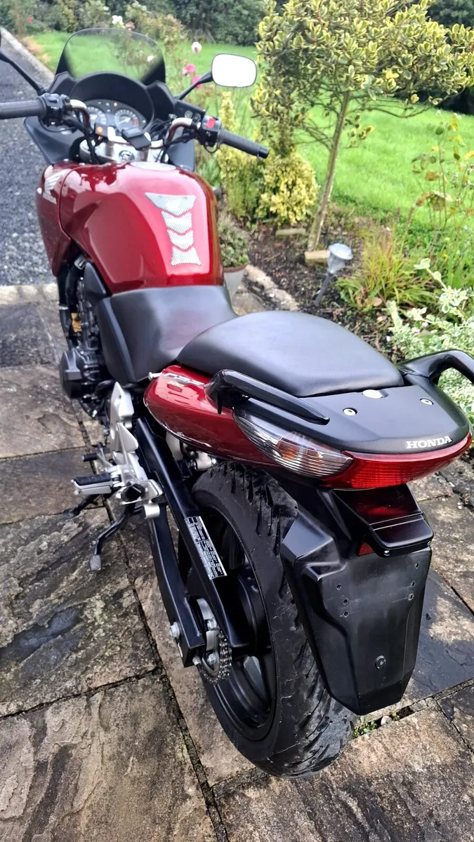 HONDA CBF 600 ABS MINT CONDITION - Image 3