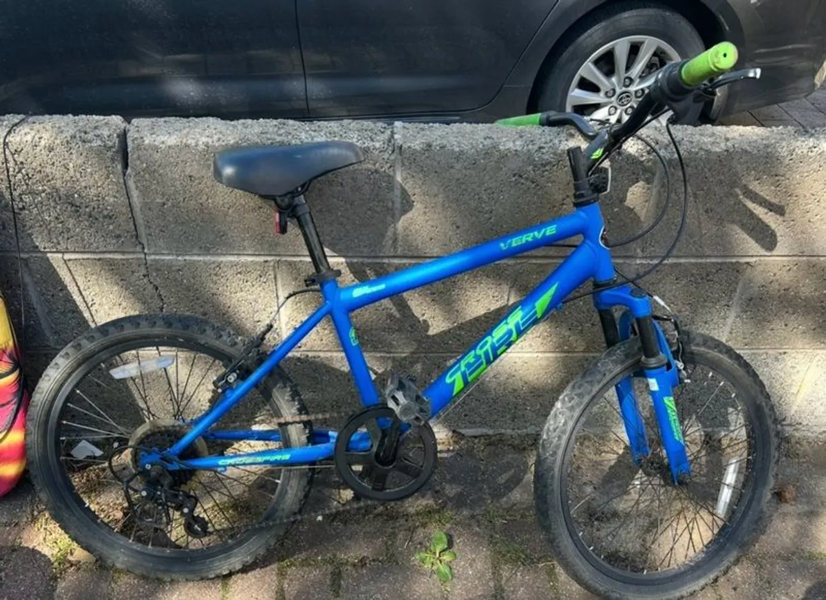 Verve Childs bike