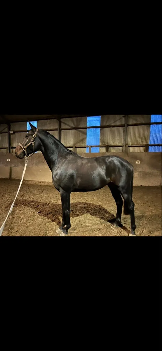 4yo by rock n roll - Image 1