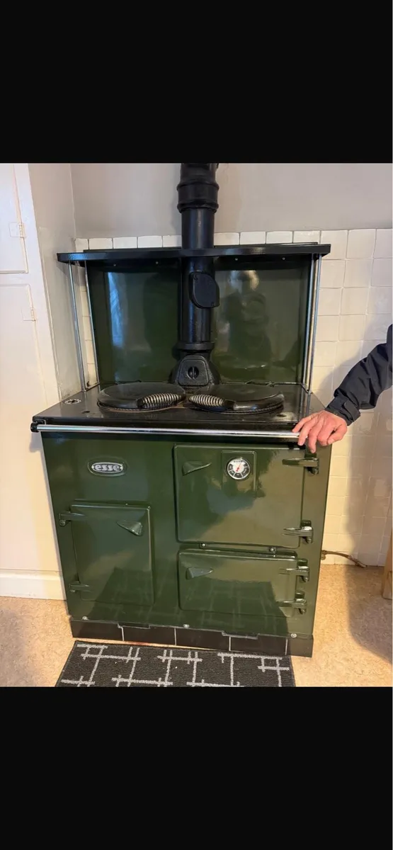Esse Oil Cooker - Image 1