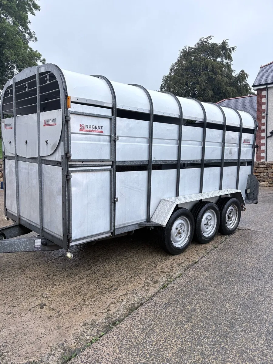 14’ x 6’ Nugent Tri-axle trailer - Image 1