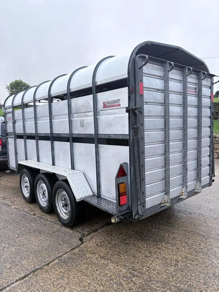 14’ x 6’ Nugent Tri-axle trailer - Image 4