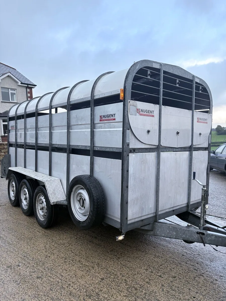 14’ x 6’ Nugent Tri-axle trailer - Image 2