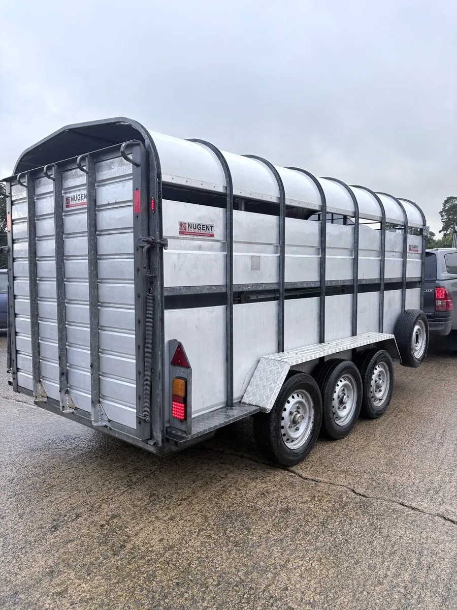 14’ x 6’ Nugent Tri-axle trailer - Image 3