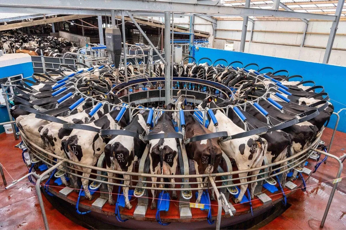 Relief milker available - Image 1