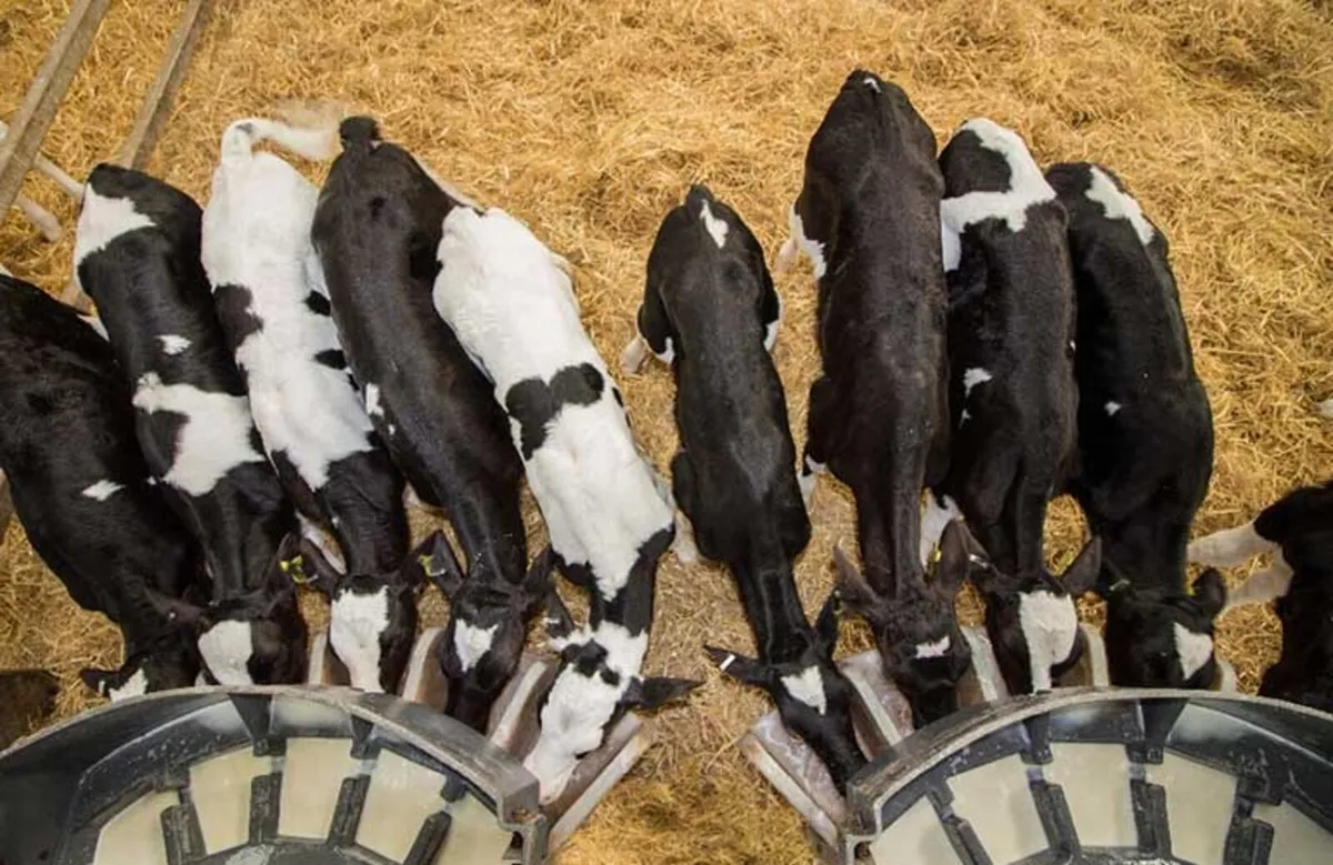 Relief milker available - Image 4