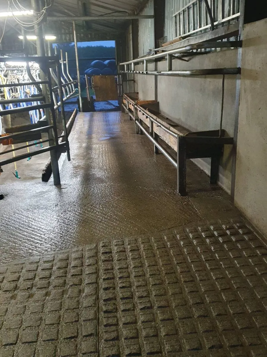 Milking parlour - Image 1