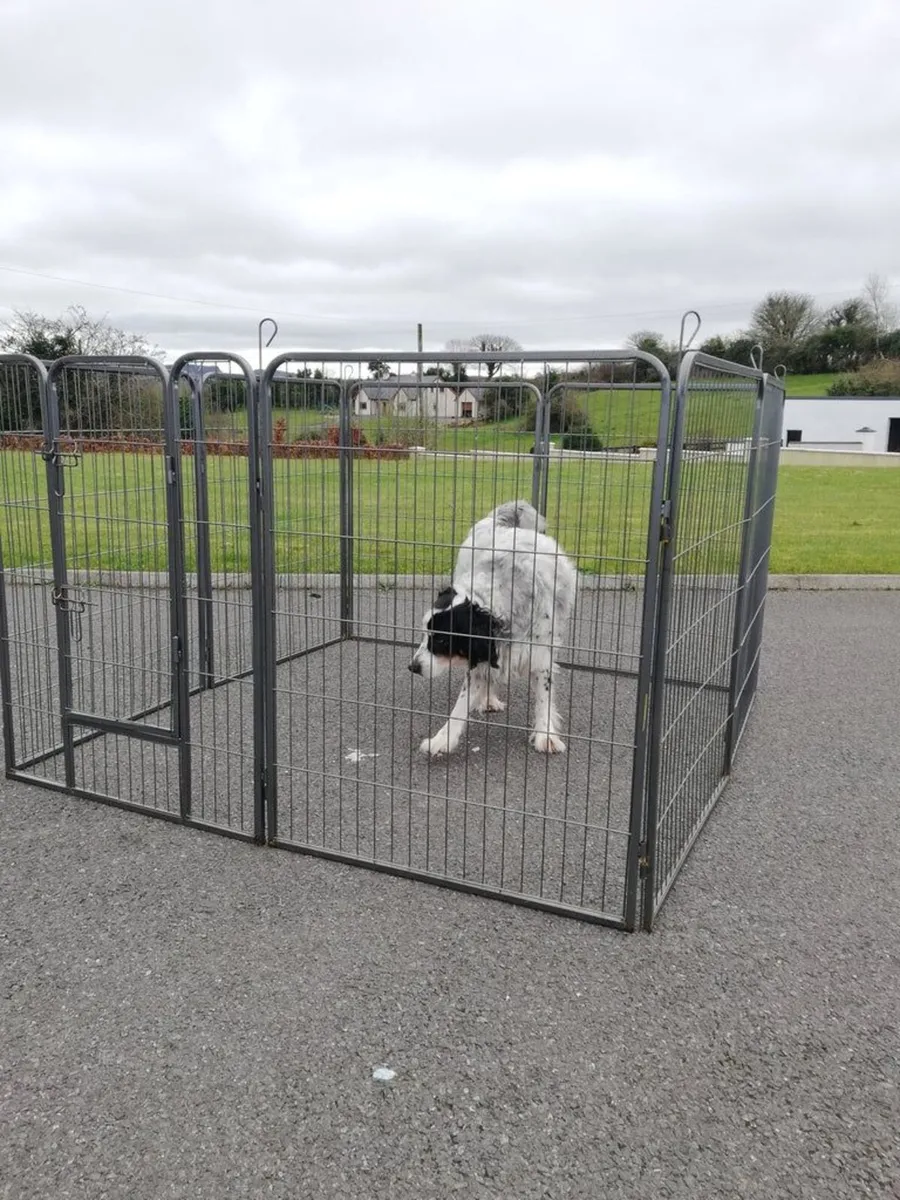 8 Panel Dog enclosure kennel Free Delivery - Image 1