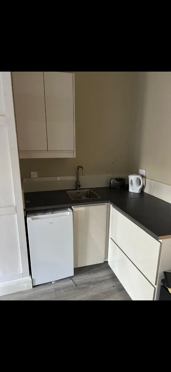 Small new Ikea kitchen and new small fridge