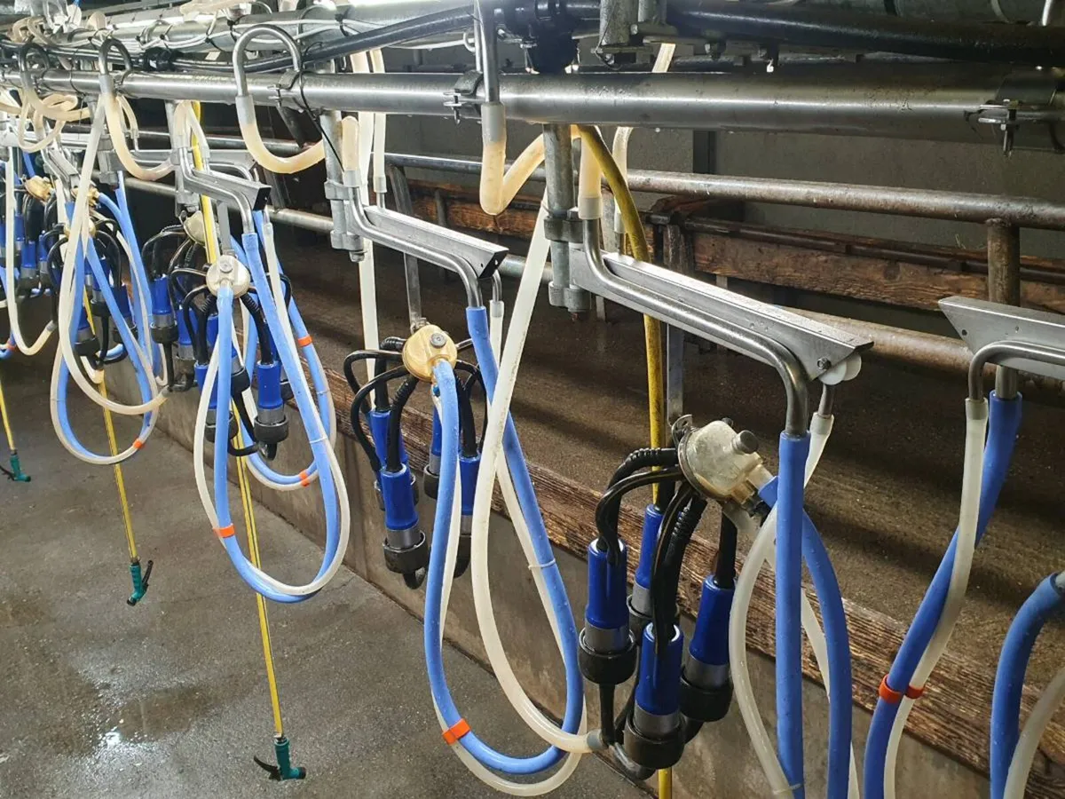 Milking parlour - Image 2