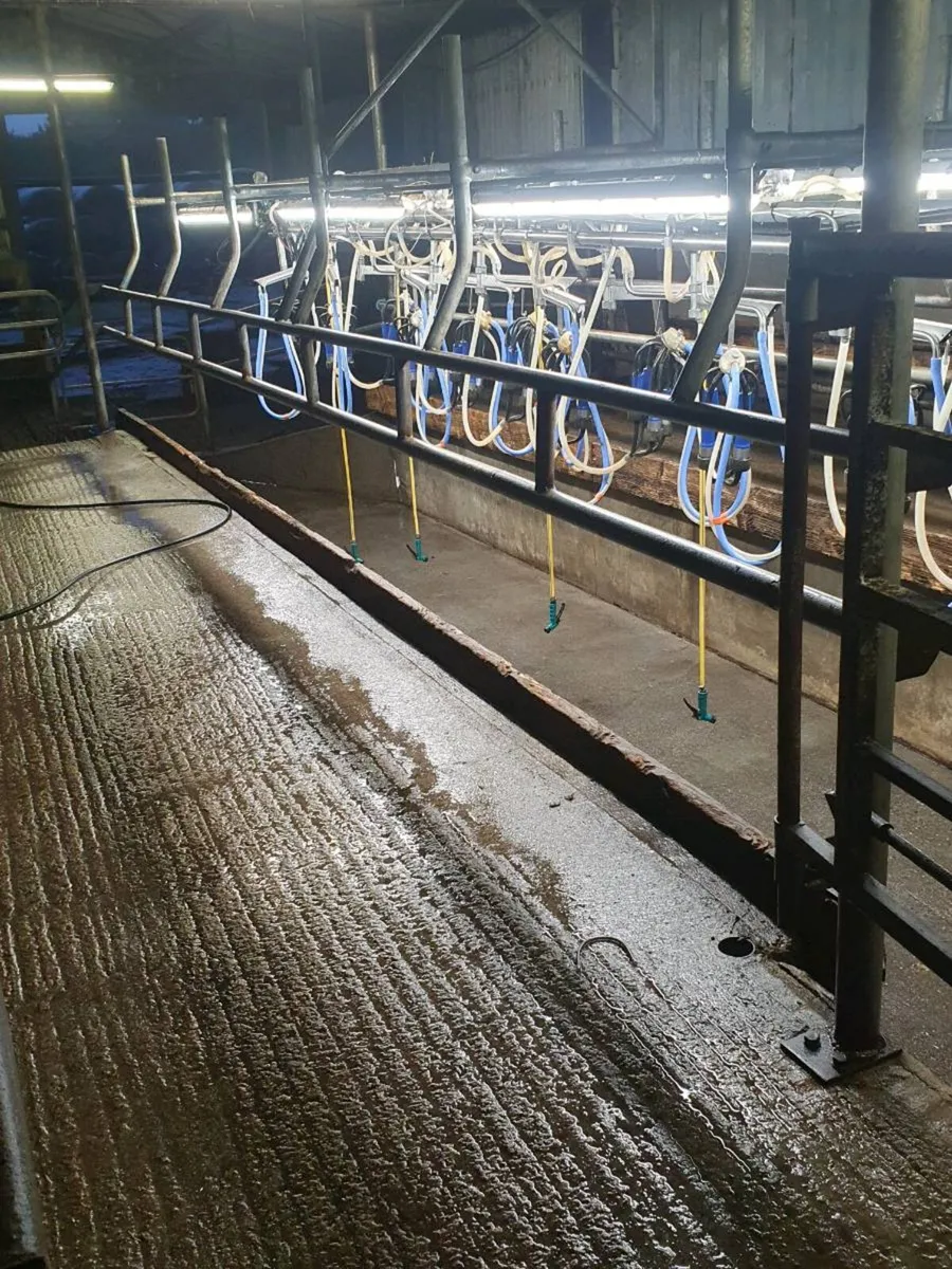 Milking parlour - Image 3