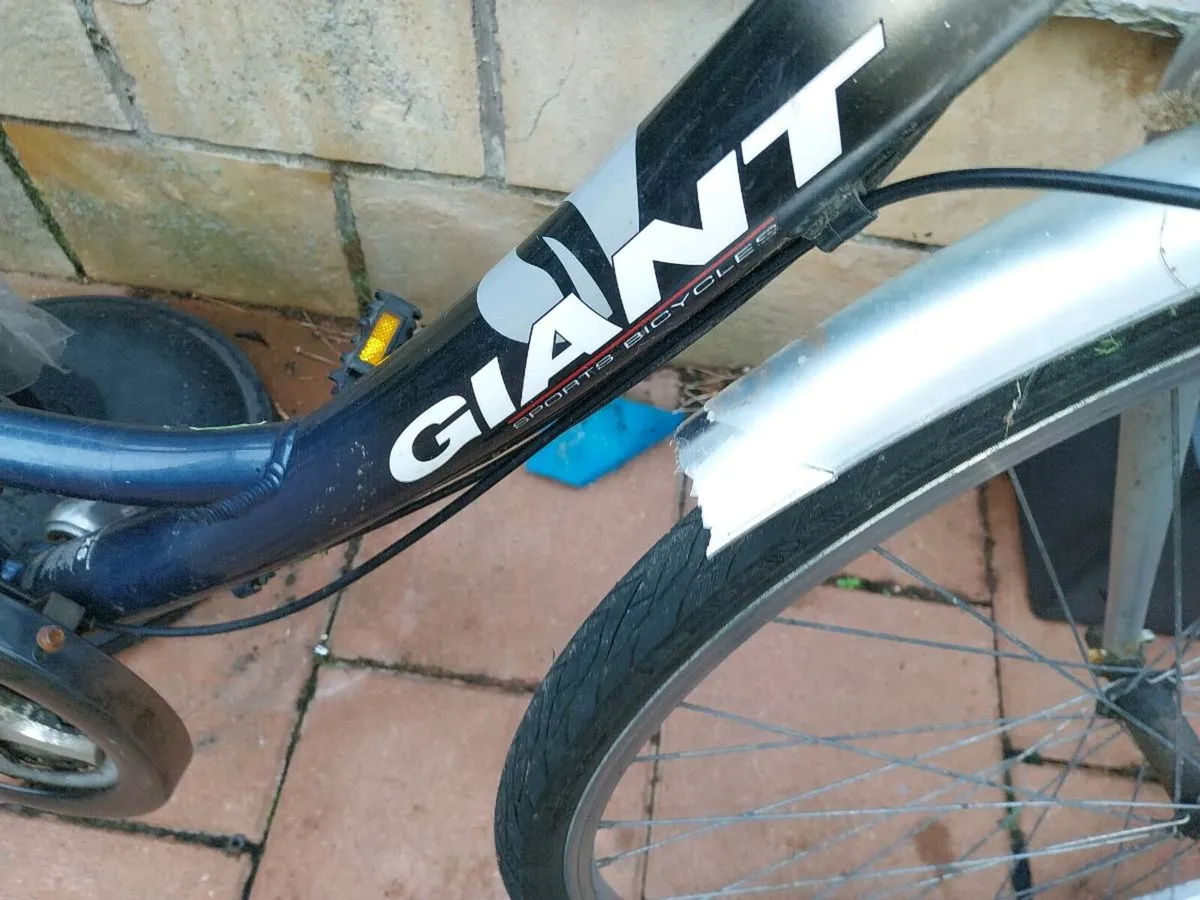 Giant expression hybrid - Image 4