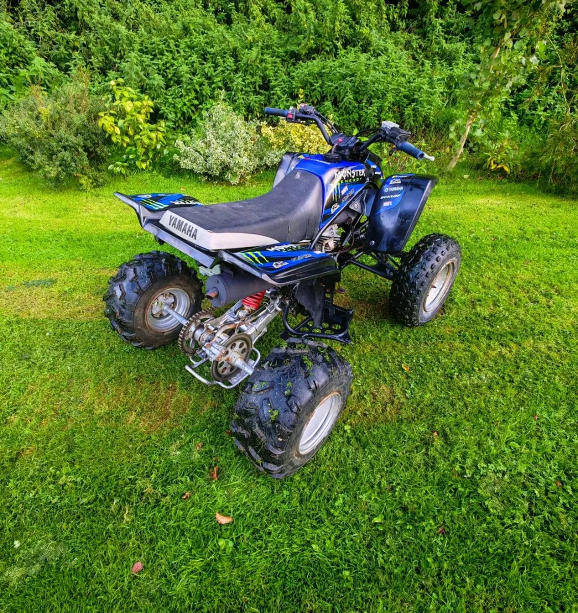 Yamaha Blaster 200 - 2 stroke - 2004 - Image 3