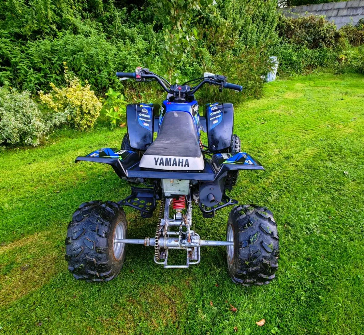 Yamaha Blaster 200 - 2 stroke - 2004 - Image 4