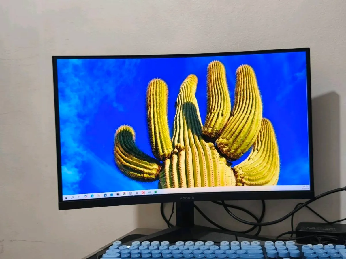 Monitor - Image 1