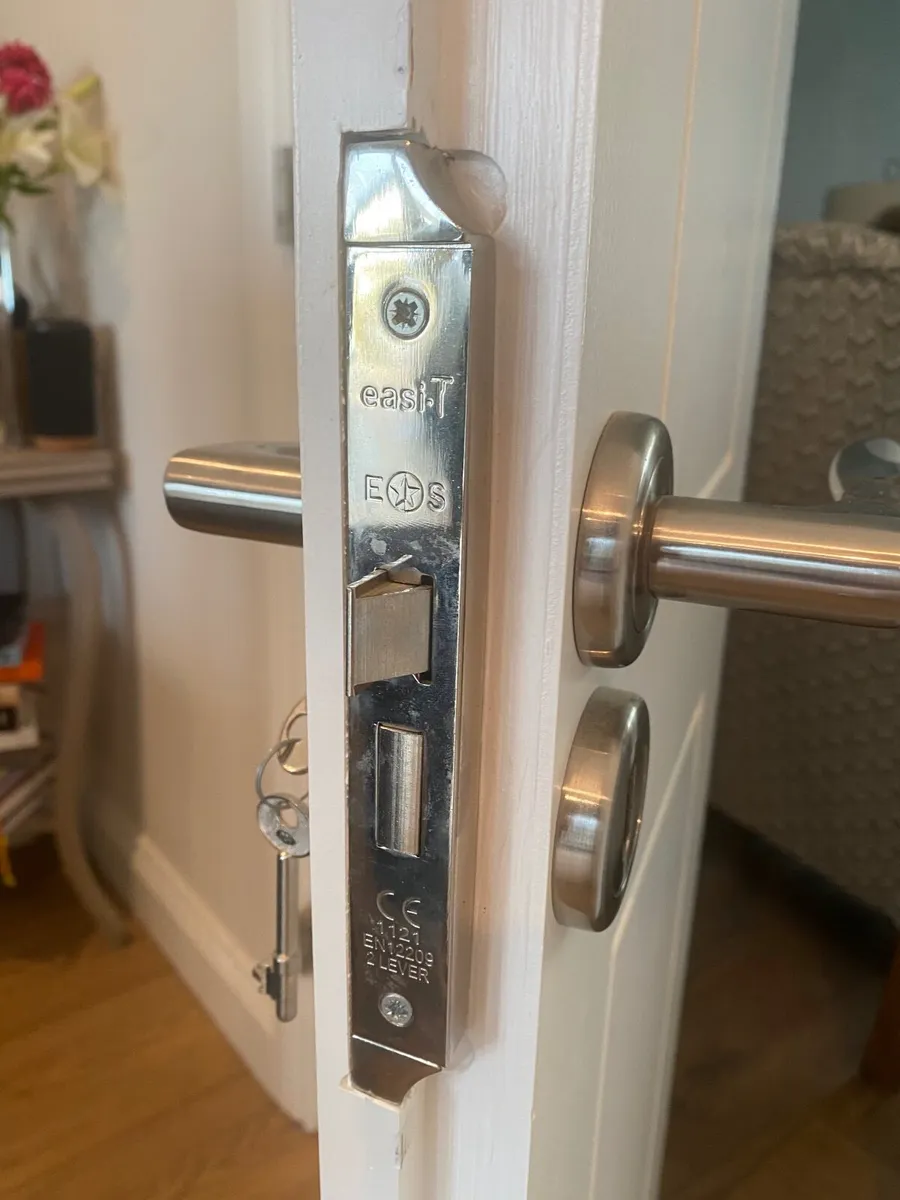 Folding internal solid Doors - Image 2