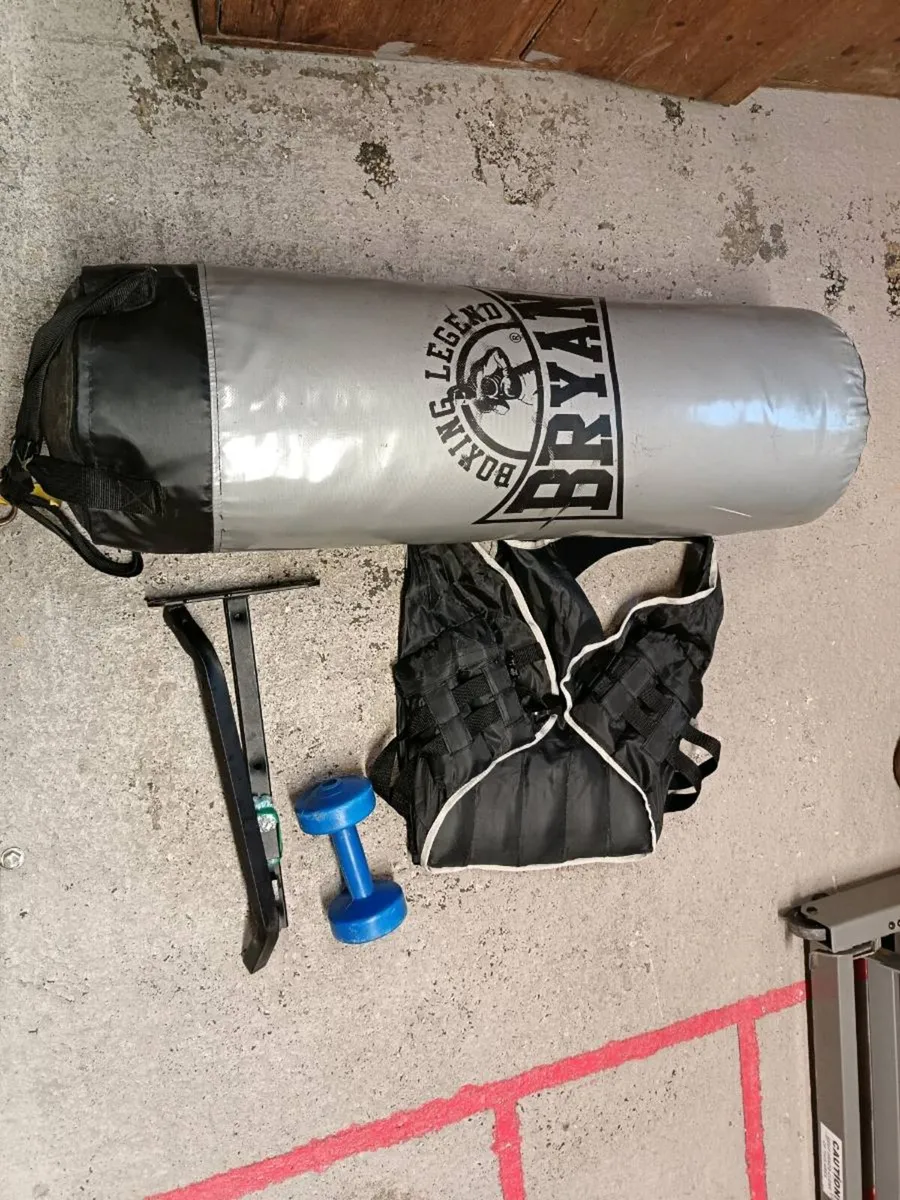 Boxing bag - Image 1