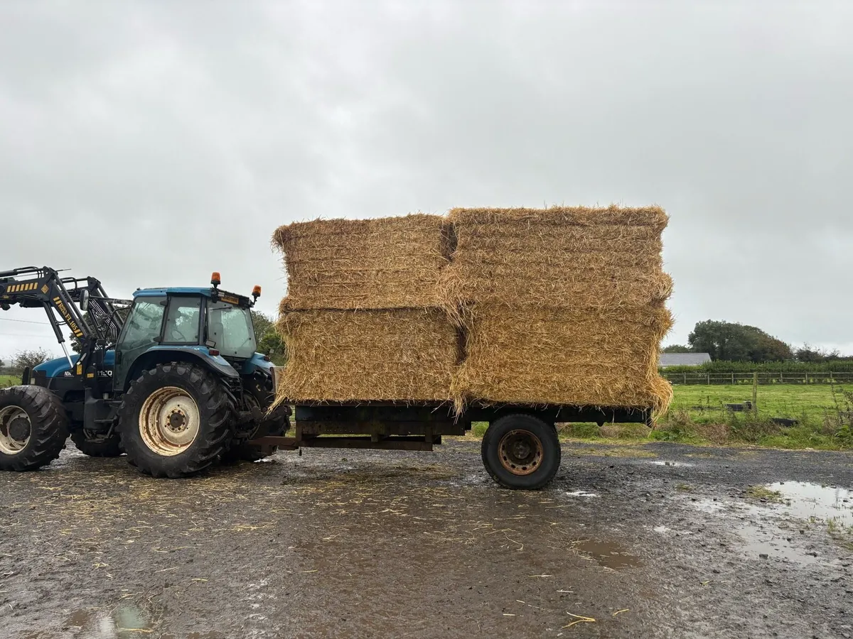 Flat bale trailer - Image 1