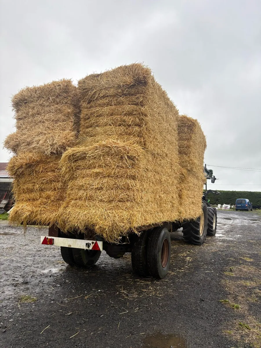 Flat bale trailer - Image 2