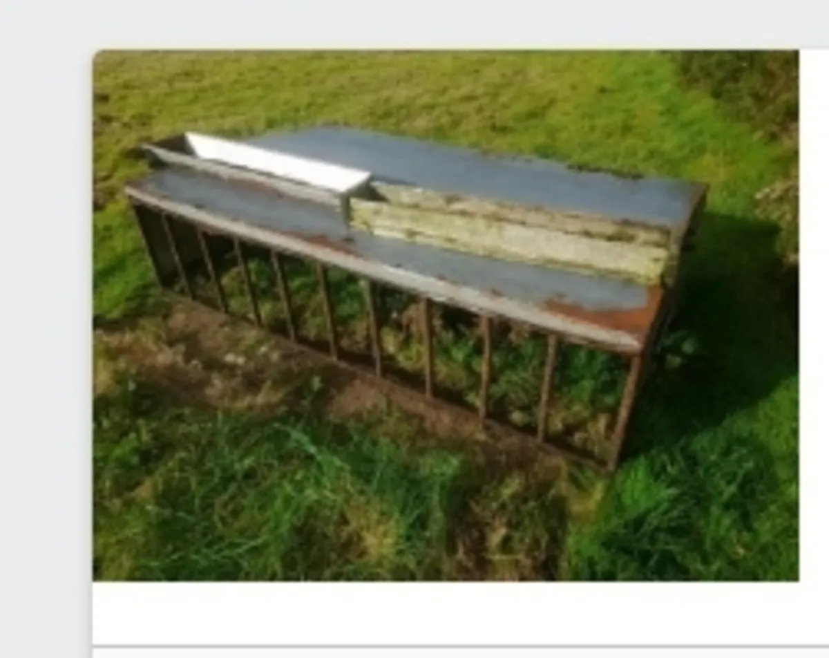 Lamb creep feeder - Image 1
