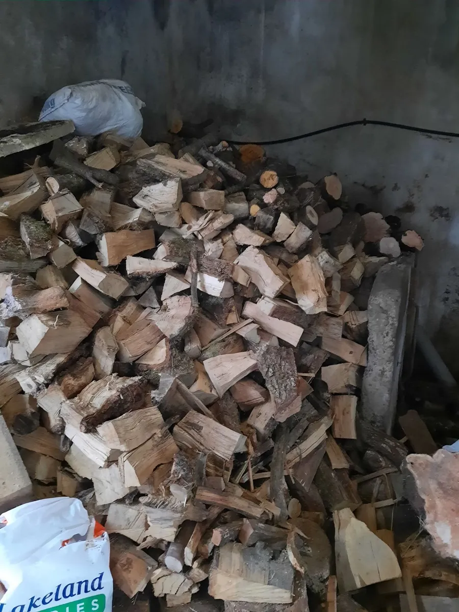 Firewood - Image 1