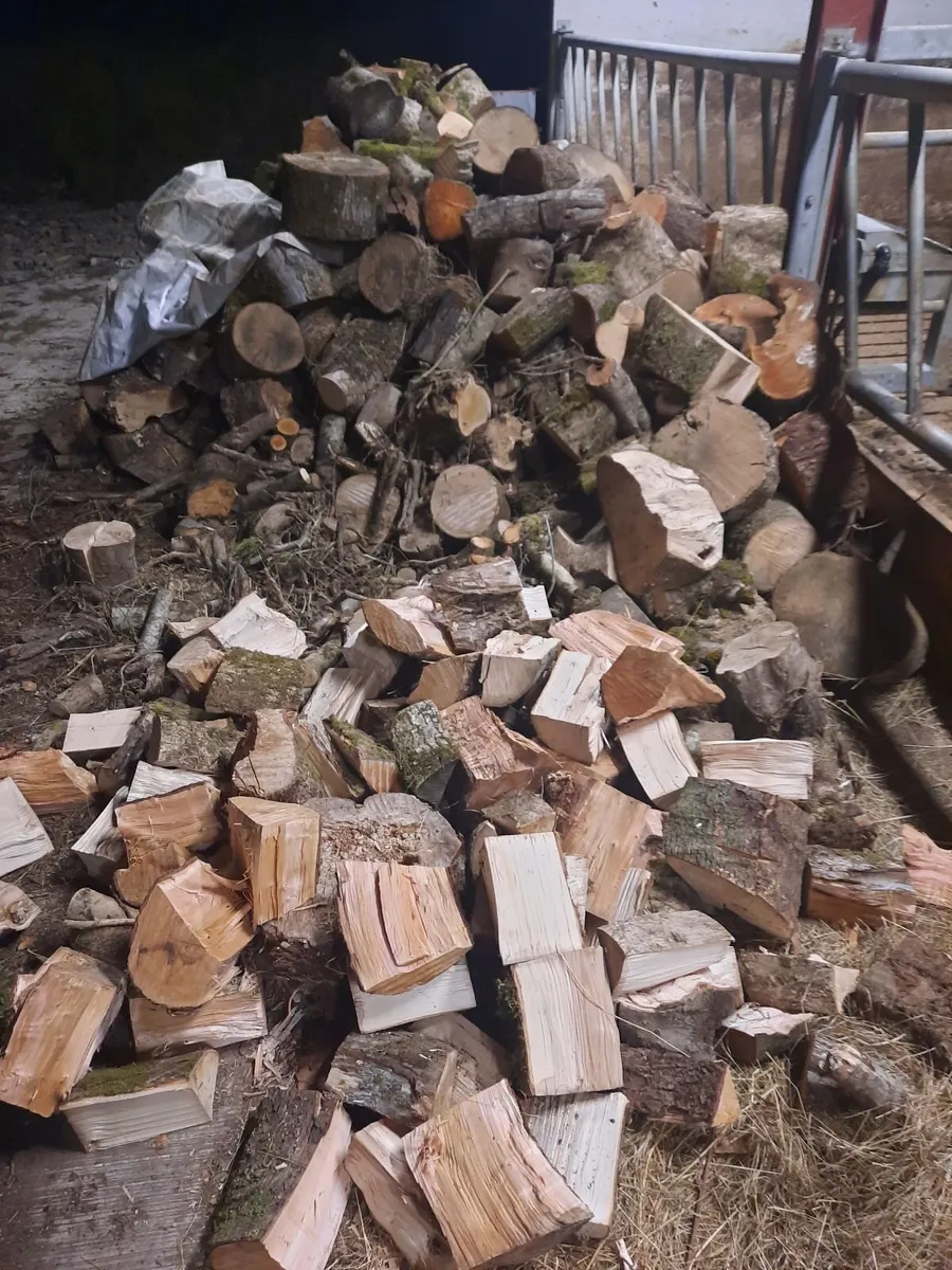 Firewood - Image 3