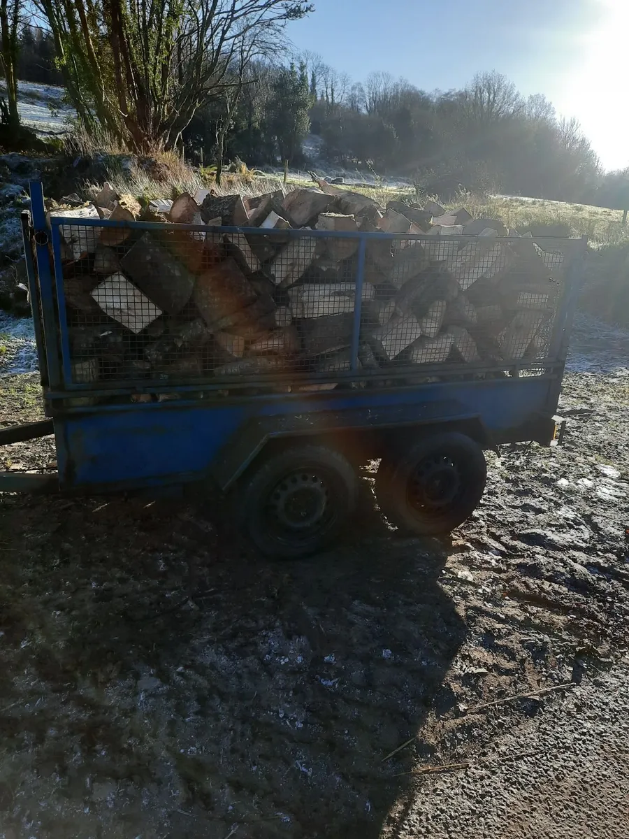 Firewood - Image 4