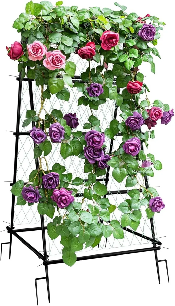 Garden Arch Trellis with Netting for Climbing - Image 1