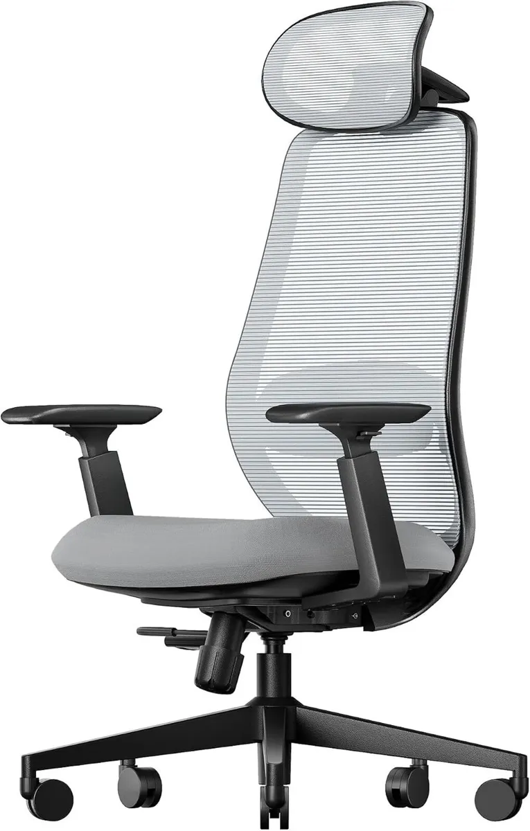 Ergonomic Office Chair with Adjustable Seat Depth - Image 1