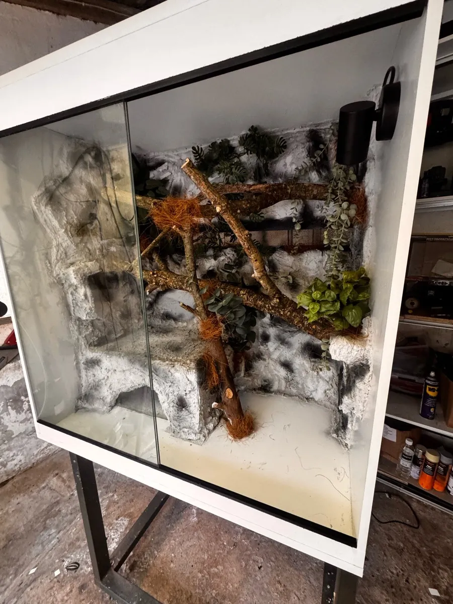 Ball python enclosure - Image 1
