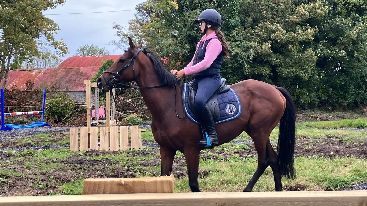 🌟Talented 15h Jumping Prospect - Image 2
