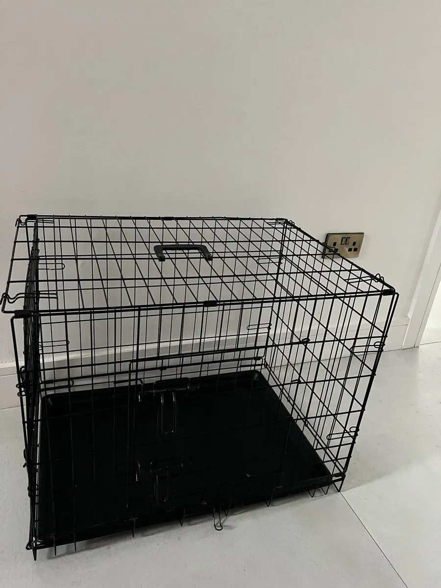 Crate for animal