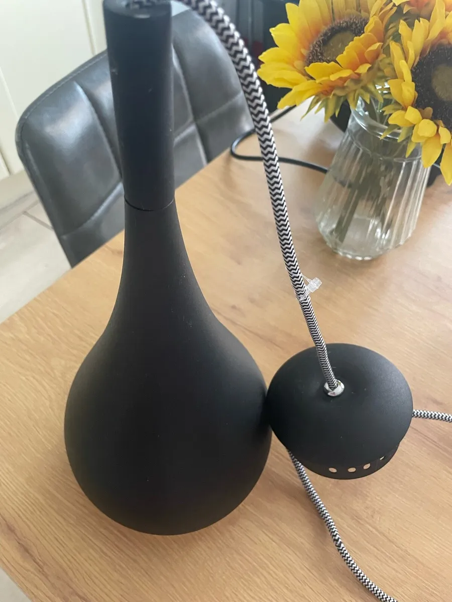 Pendant light 2 fixtures - Image 2