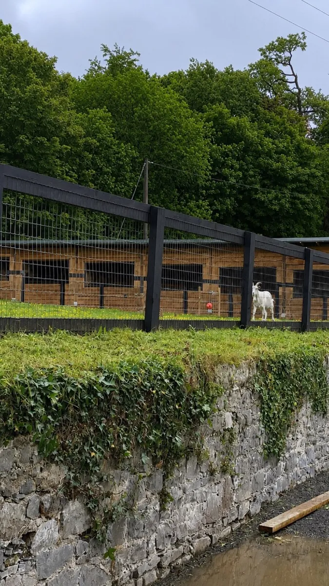 Bespoke stables and cabins - Image 2
