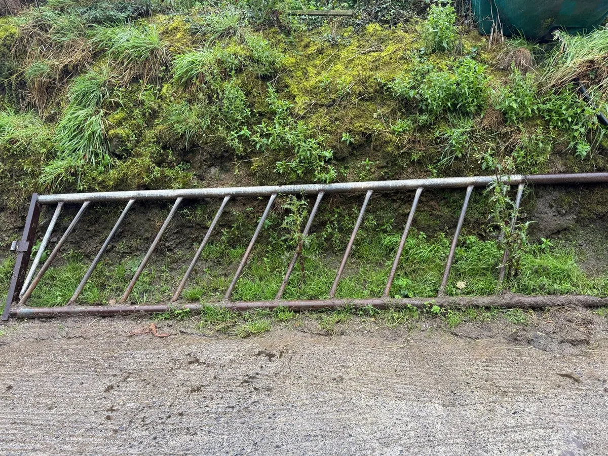 2 feeding barriers - Image 3