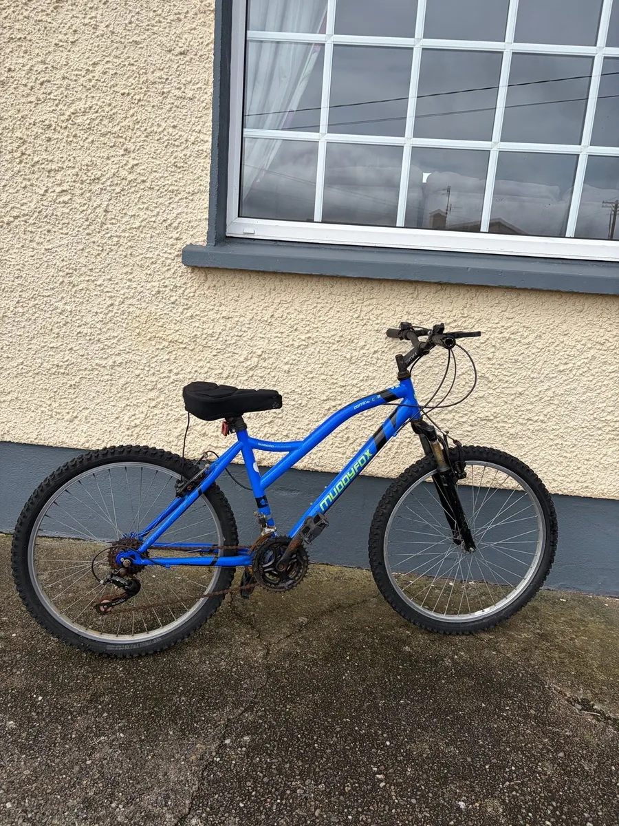 Bikes - Image 1