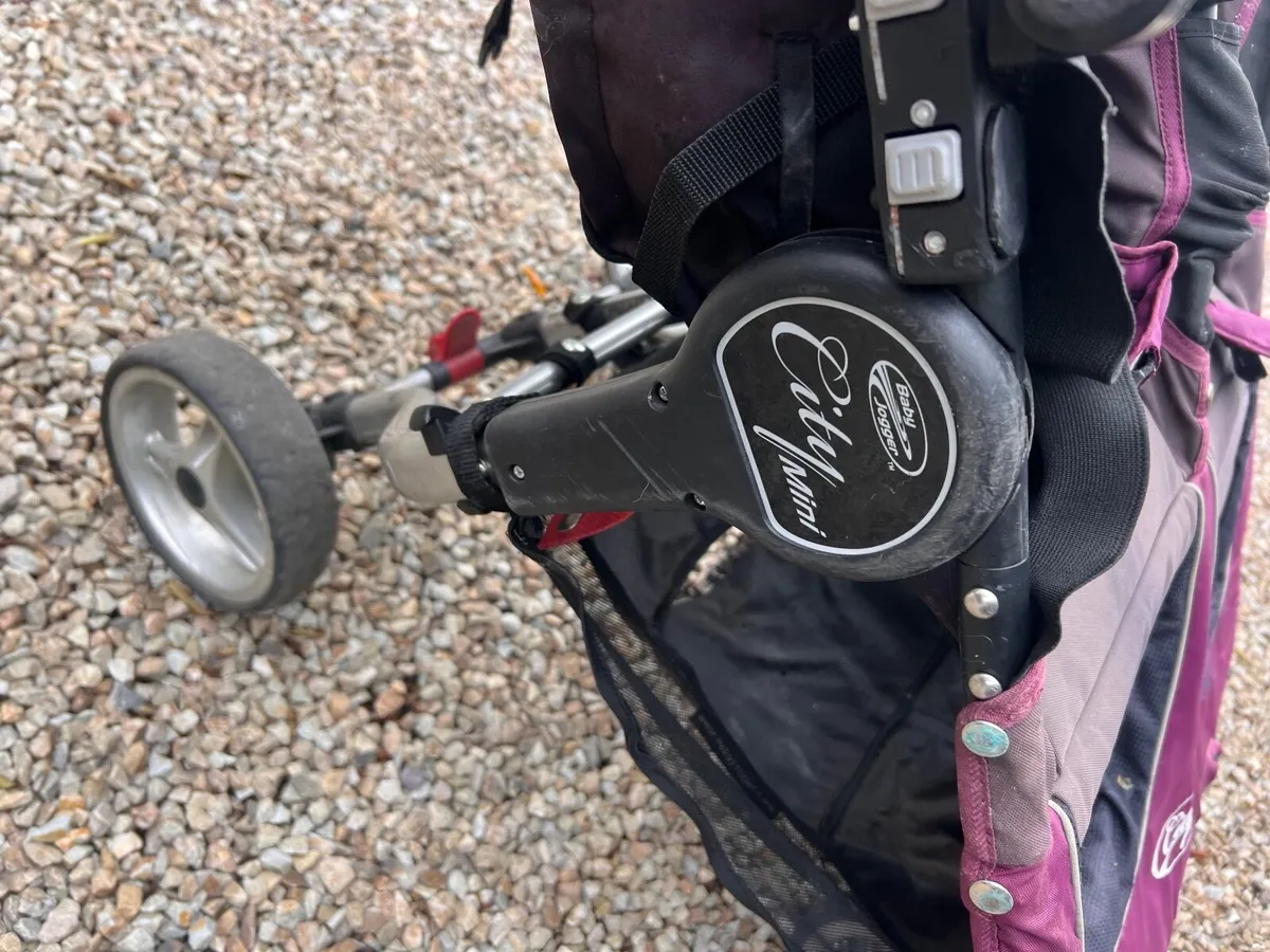 2 Buggies - Image 3