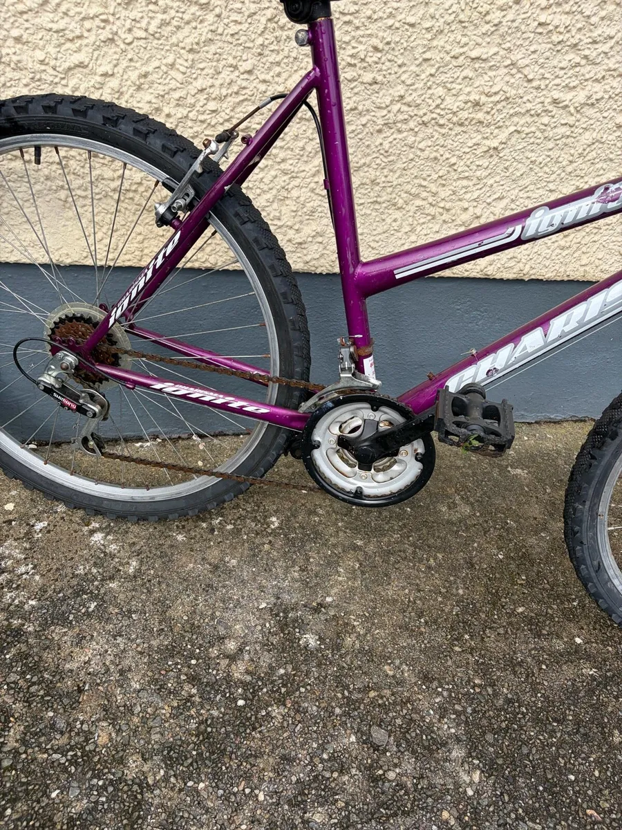Ladies bike - Image 2