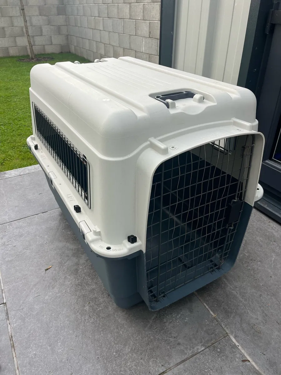 Large Dog Box - Image 1