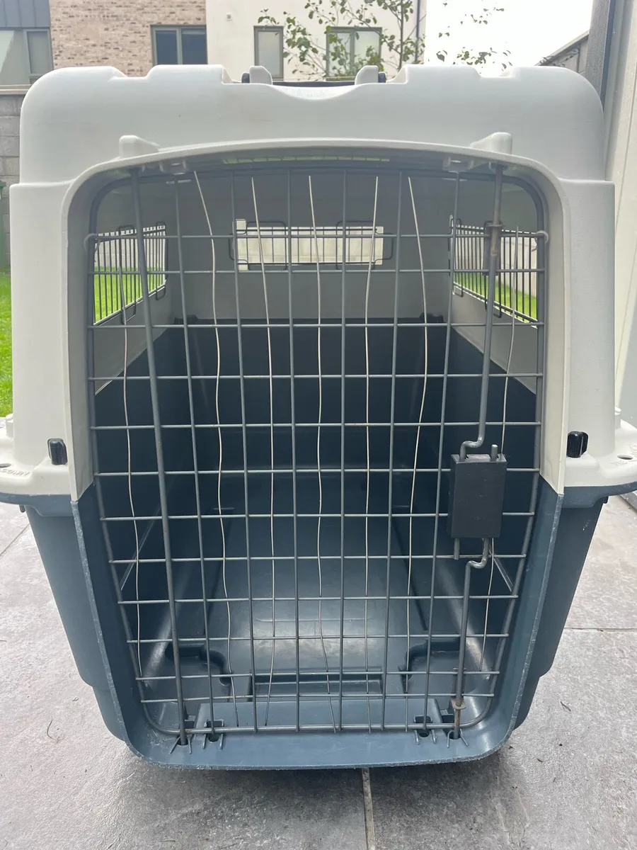 Large Dog Box - Image 2