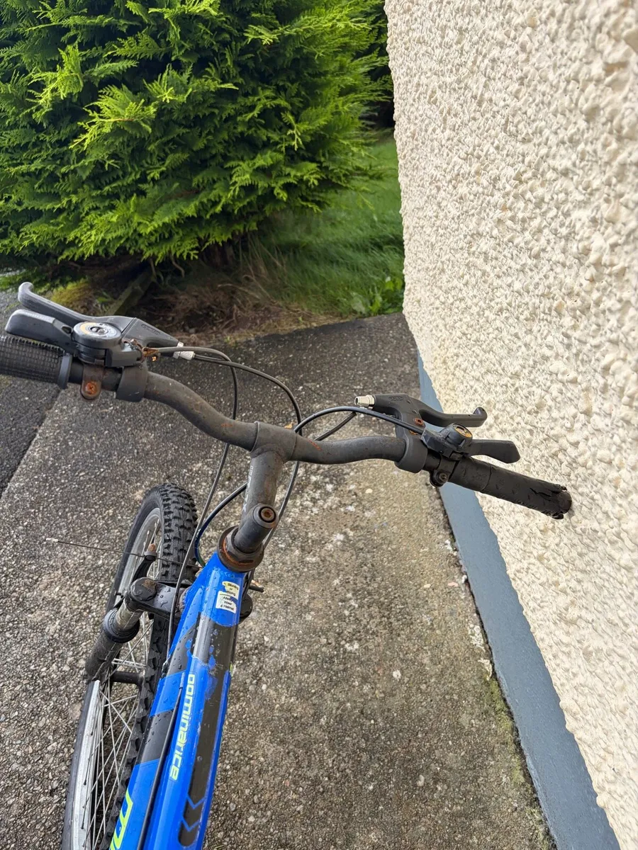 Bike - Image 2