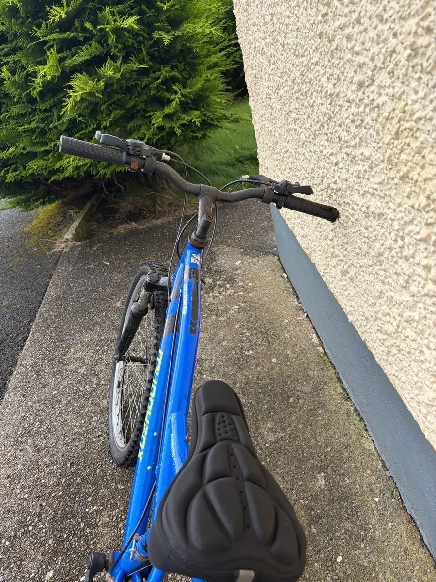 Bike - Image 3