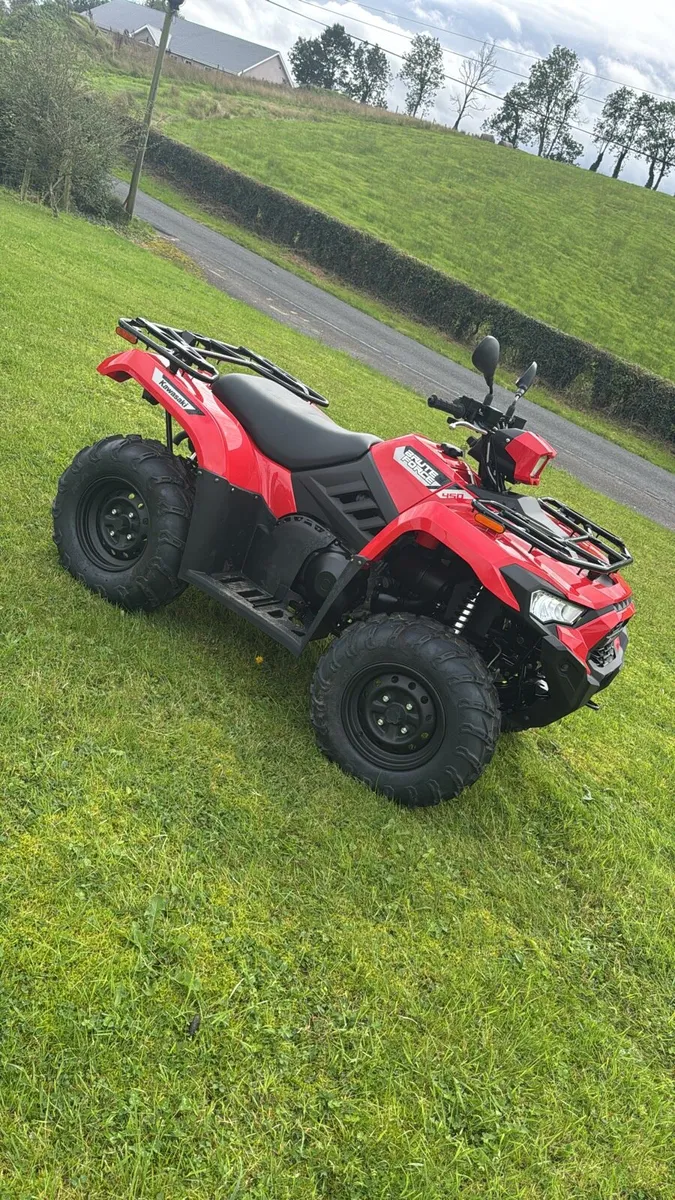 Kawasaki brute force - Image 3