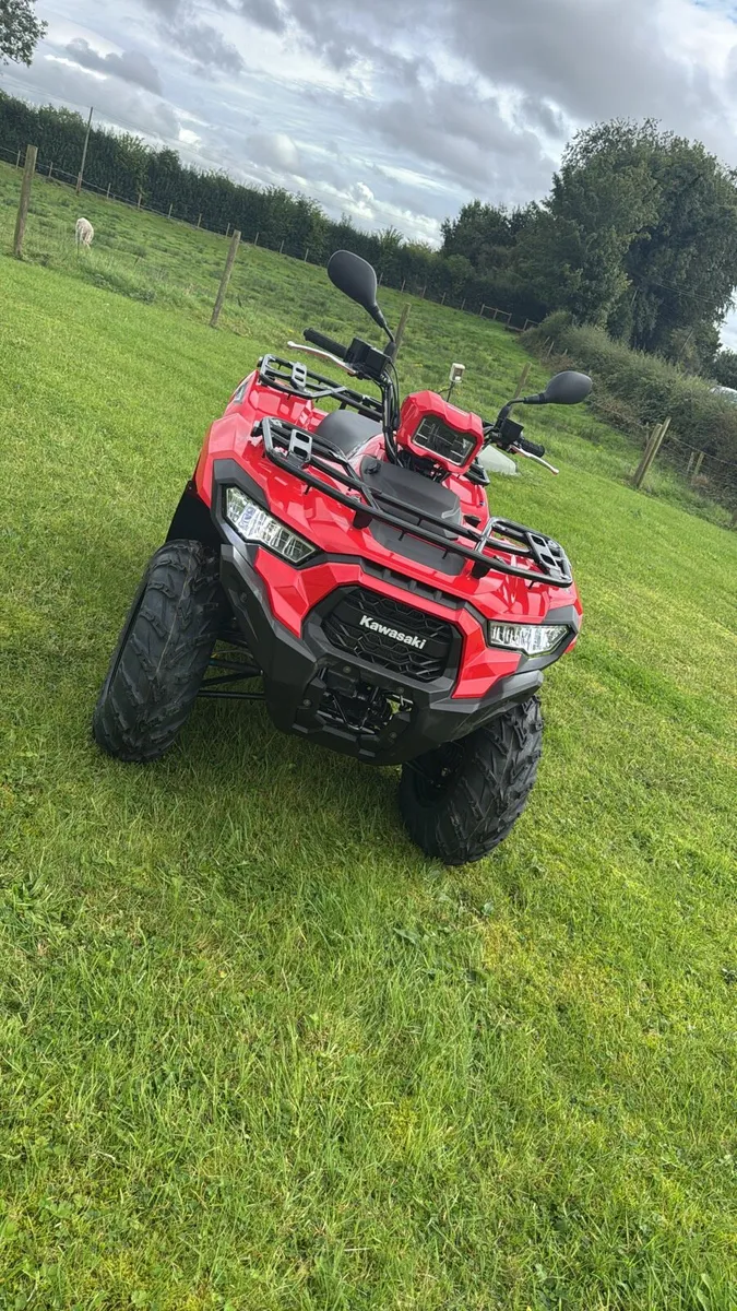Kawasaki brute force - Image 1